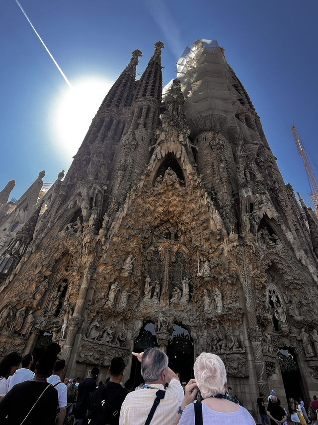 🌇アートも海もグルメも！五感で楽しむバルセロナ旅🇪🇸✨