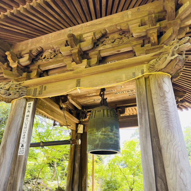 Conquering the Sacred Summit: A Solo Summer Hike Up Mount Jinmu-ji, Kanazawa