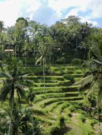 Don’t just stay in Ubud. Use it as a base camp to explore 🤩