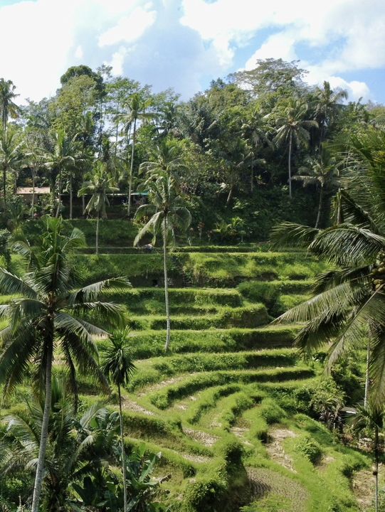 Don’t just stay in Ubud. Use it as a base camp to explore 🤩