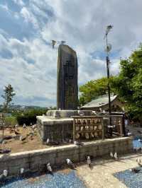 Kabushima Shrine: Where 30,000 Wild Gulls Become Sacred Messengers