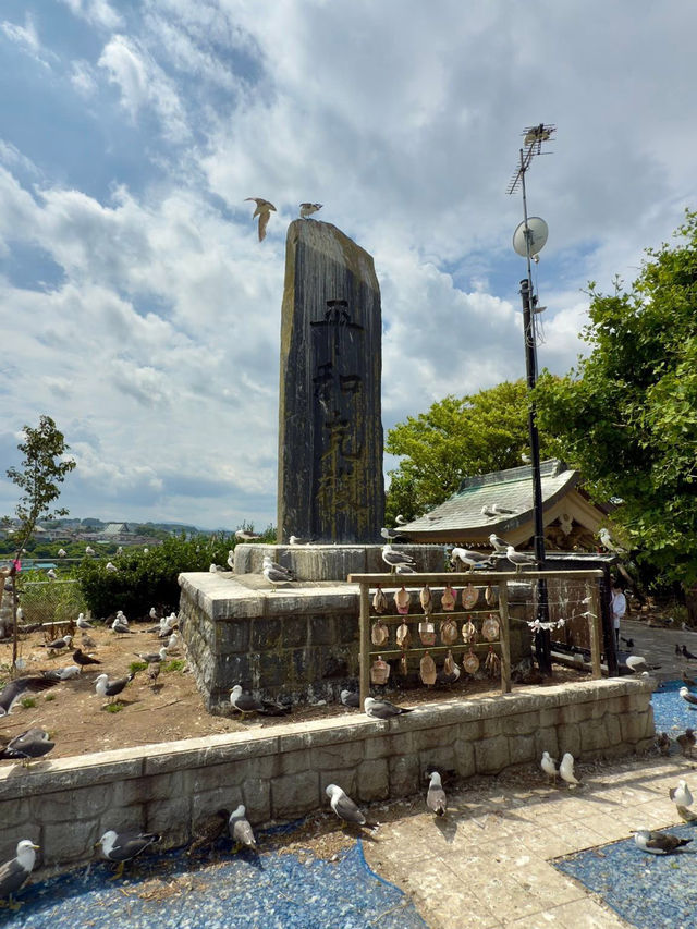 Kabushima Shrine: Where 30,000 Wild Gulls Become Sacred Messengers