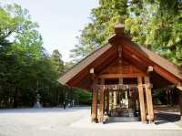 ⛩️ Serene Escape at Hokkaido Jingu