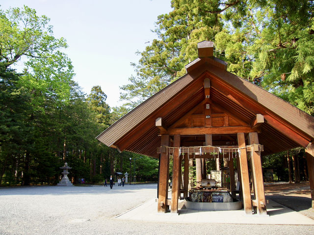 ⛩️ Serene Escape at Hokkaido Jingu