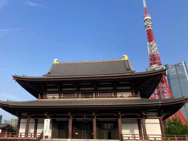 東京 増上寺 🏯🌸