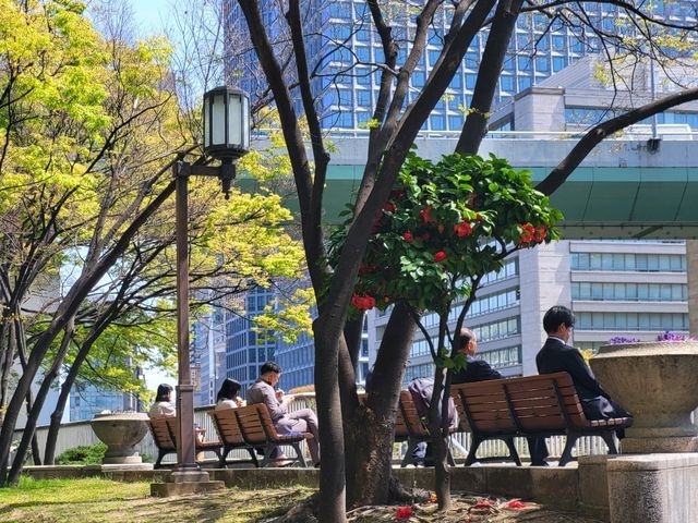 隱身大阪銀行街中的都市之肺/大阪中之島綠地公園
