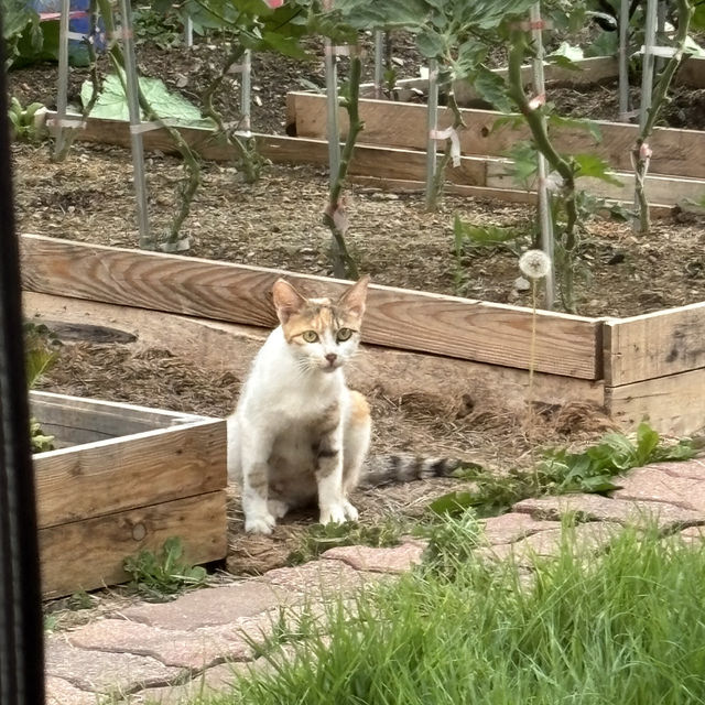 사장님 유명해지지 마세요🚫 삼척 우연안펜션