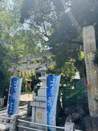 新田神社🇯🇵でパワーチャージ💪⟡.·