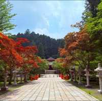 日牟禮八幡宮 - 神社的靜謐
