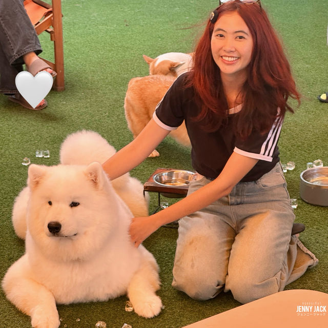 #คาเฟ่ศรีราชา #Corgandkoff #คาเฟ่ชลบุรี 