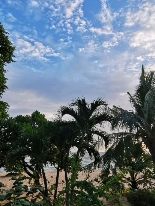 🌧️⛈️ Storm Incoming at the Beach – Nature’s Raw Beauty!