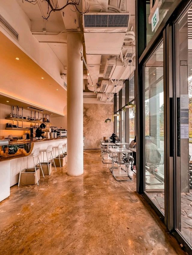Root Cafe Hong Kong