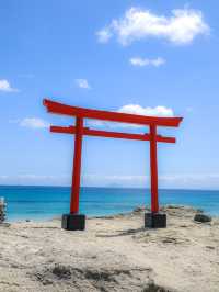 【静岡🇯🇵】下田で過ごすとある夏の1日☀️