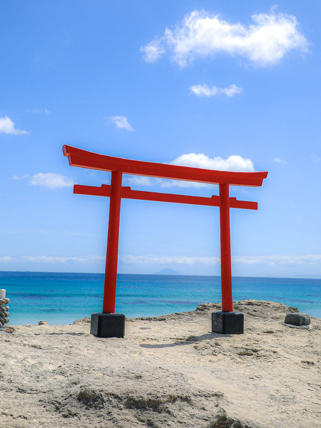 【静岡🇯🇵】下田で過ごすとある夏の1日☀️