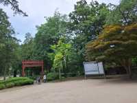 南怡島一日遊攻略｜首爾近郊最夢幻的小島旅行