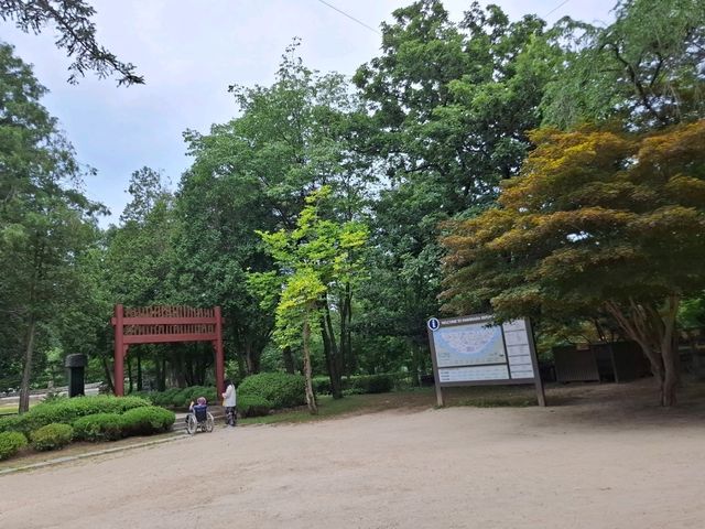 南怡島一日遊攻略｜首爾近郊最夢幻的小島旅行