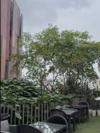 A Little Green Space: The Hidden Hangout You Didn’t Know About