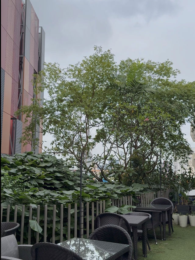 A Little Green Space: The Hidden Hangout You Didn’t Know About