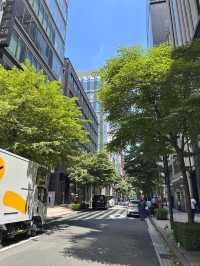 Ginza Unwrapped: Where Luxury Meets Tradition