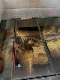 The history and circumstances of Richard III that led to him being at Bosworth Field, and the very sad outcome