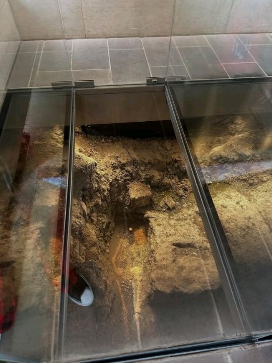 The history and circumstances of Richard III that led to him being at Bosworth Field, and the very sad outcome
