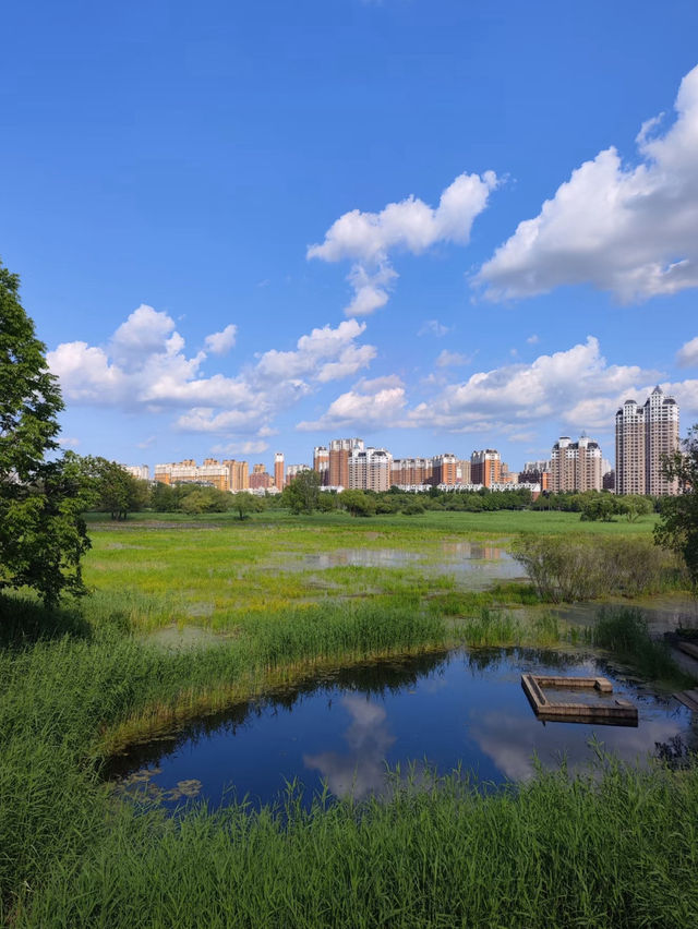 Qunli Wetland Park ☀️ 🌳 