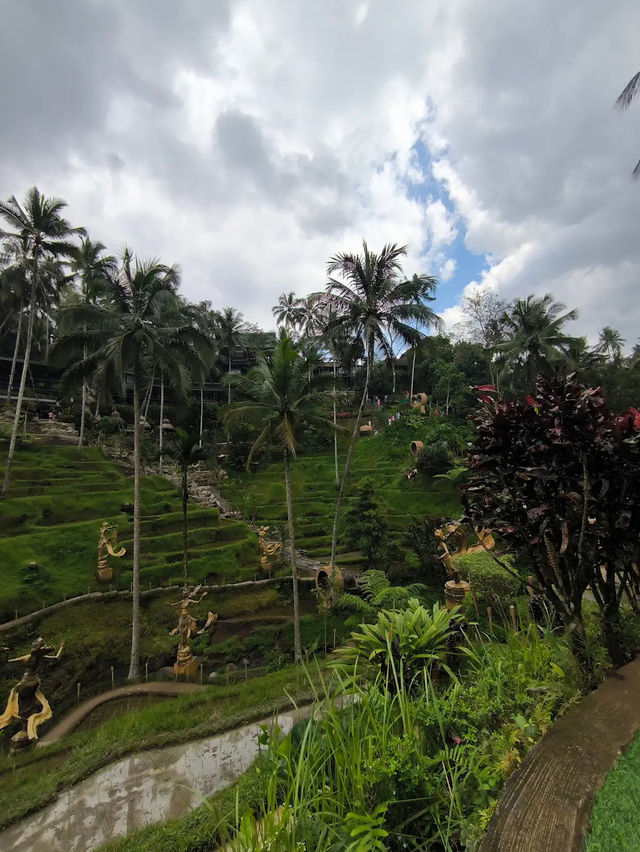 Glass Floors & Flying Foxes—Only at Alas Harum