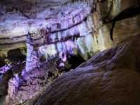 Caves & Forest Vibes