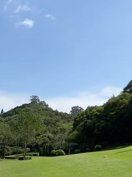 🌴 Lost in Gulangyu — Where Every Step Meets the Sea 🌊🌤️