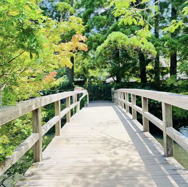 Magical Solo Escape: Yufuin Floral Village on a Budget** 🌸🏡