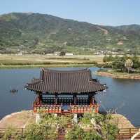 Hadong: A Slow Traveler’s Paradise – Tea Fields, Timeless Houses & Mountain Spirits"** 🍵🏯 