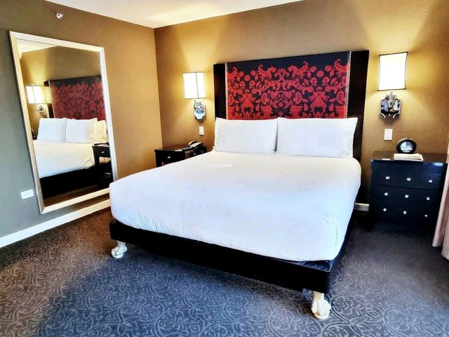 Hotel ZaZa Houston – Museum District