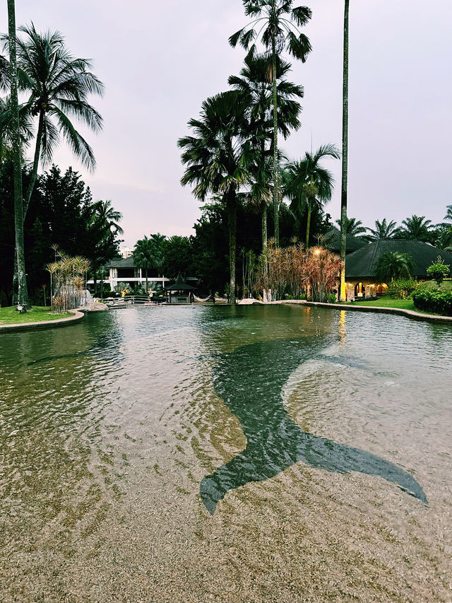 Stroll Through Serenity at Cyberview Resort’s APEC Garden