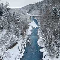 Winter Wonderland indeed!