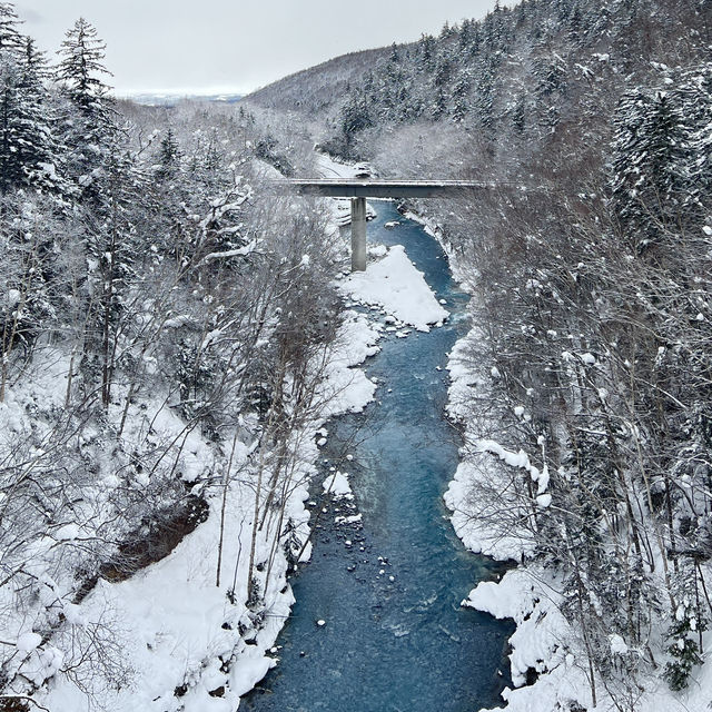 Winter Wonderland indeed!