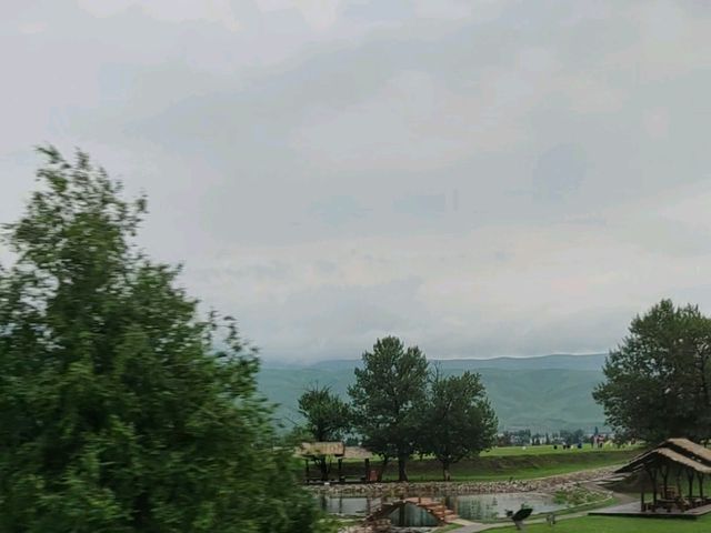 Nalati Jinling Resort：Grassland Expanse, Spirits Soar