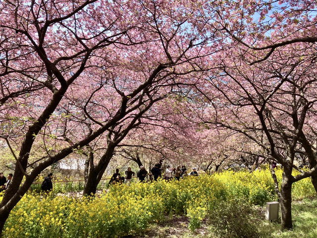 西平畑公園