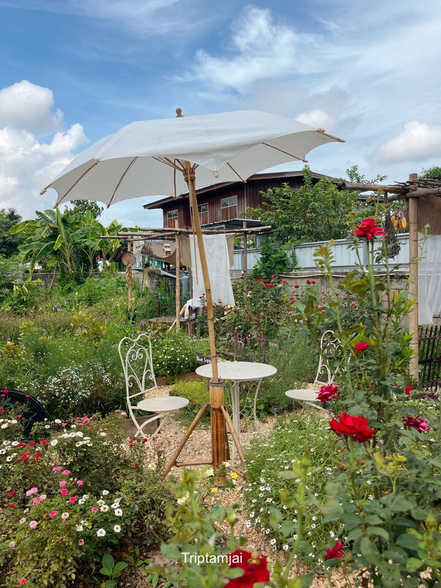 โฮมคาเฟ่ลำปางที่มีสวนดอกไม้น่ารักๆ 🧺🌼