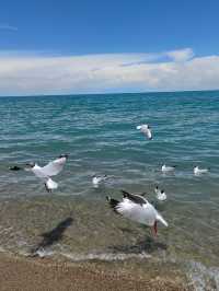 Where Heaven Touches Water: The Spirit of Qinghai Lake