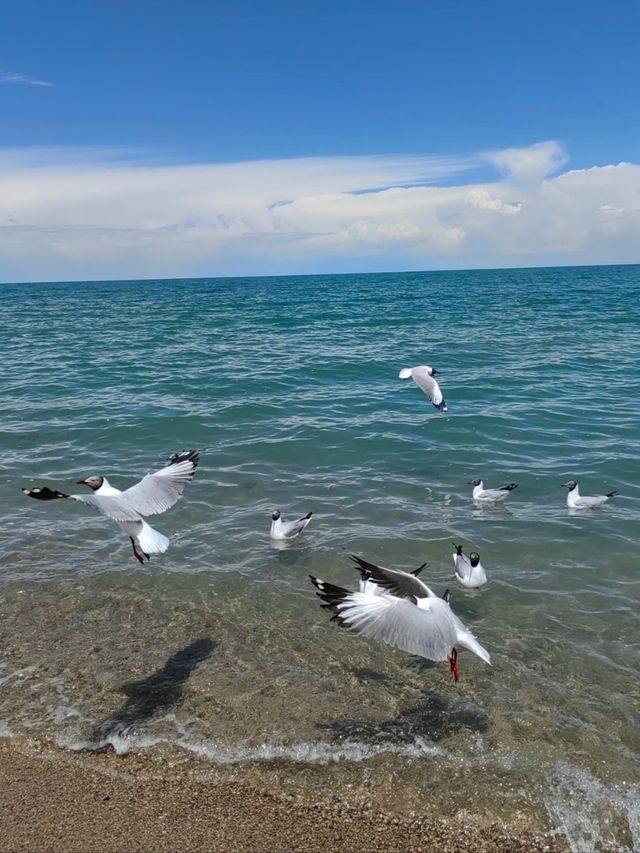 Where Heaven Touches Water: The Spirit of Qinghai Lake