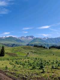 A Memorable Return Journey from Fairy Lake Horseback Riding Trip