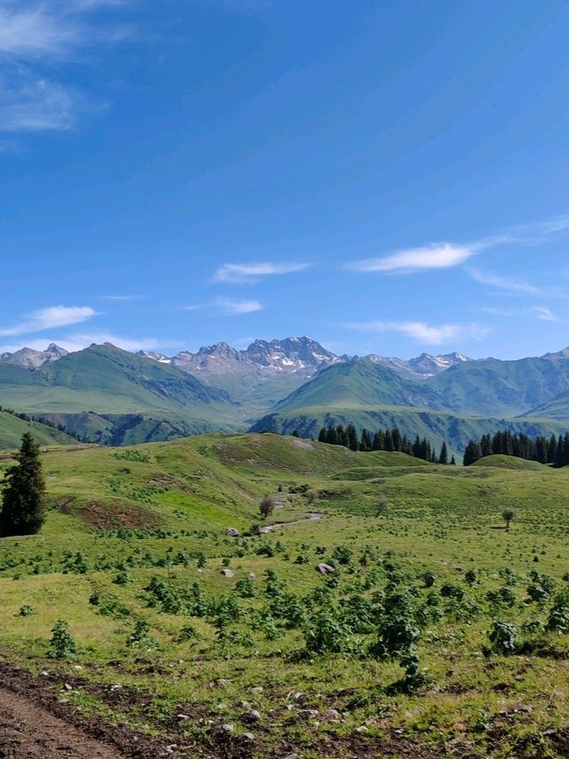 A Memorable Return Journey from Fairy Lake Horseback Riding Trip