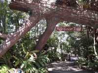 🐨 Taronga Zoo Sydney สวนสัตว์ที่วิวดีที่สุดในโลก!