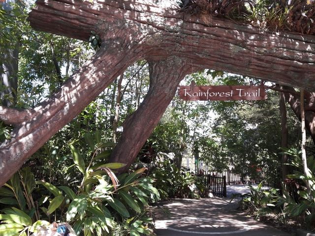 🐨 Taronga Zoo Sydney สวนสัตว์ที่วิวดีที่สุดในโลก!