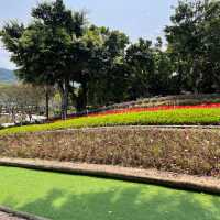 Tai Po Waterfront & Tolo Harbour