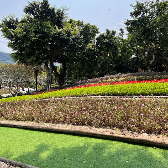 Tai Po Waterfront & Tolo Harbour