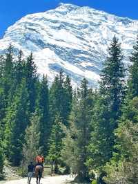 Mountains, Culture & Hidden Magic