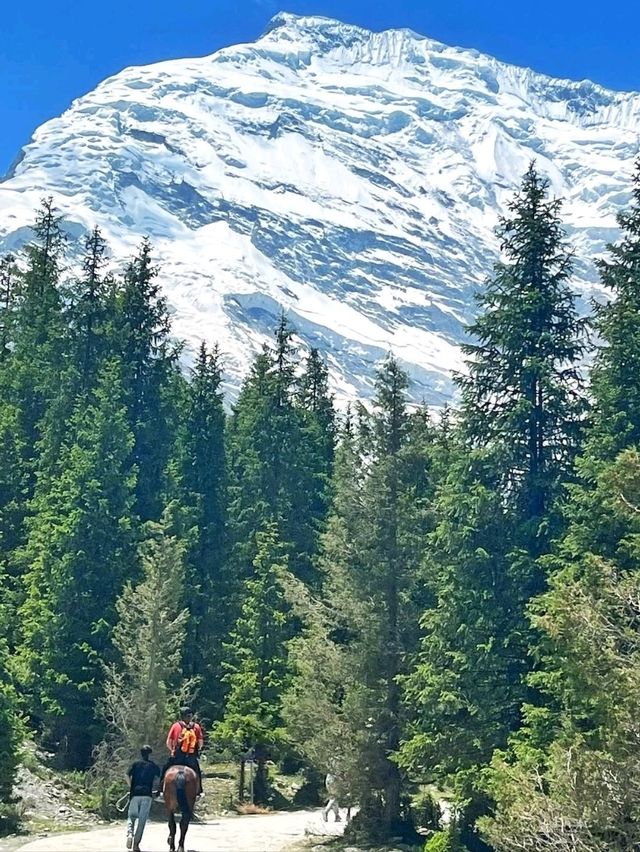 Mountains, Culture & Hidden Magic