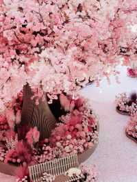 🌸 Spring Bloom Alert in Beijing! Giant Cherry Blossom Wonderland at Lize Paradise Walk 🌸