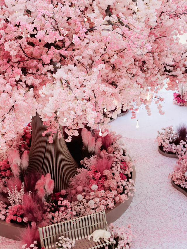 🌸 Spring Bloom Alert in Beijing! Giant Cherry Blossom Wonderland at Lize Paradise Walk 🌸